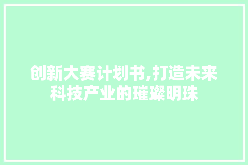 创新大赛计划书,打造未来科技产业的璀璨明珠