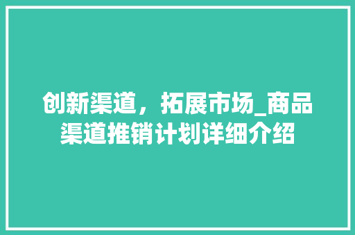 创新渠道，拓展市场_商品渠道推销计划详细介绍 应用文