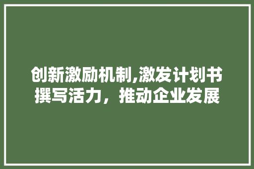 创新激励机制,激发计划书撰写活力，推动企业发展