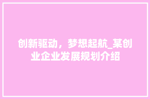 创新驱动，梦想起航_某创业企业发展规划介绍