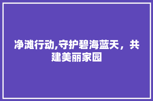 净滩行动,守护碧海蓝天，共建美丽家园 职场写作