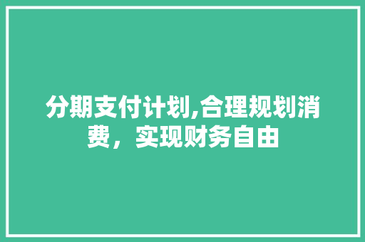 分期支付计划,合理规划消费，实现财务自由 诗词鉴赏