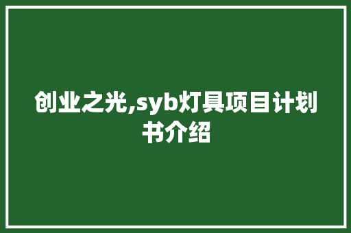 创业之光,syb灯具项目计划书介绍