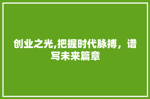 创业之光,把握时代脉搏，谱写未来篇章