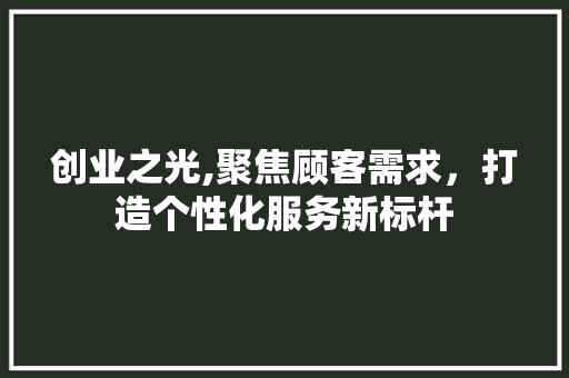 创业之光,聚焦顾客需求，打造个性化服务新标杆 项目报告