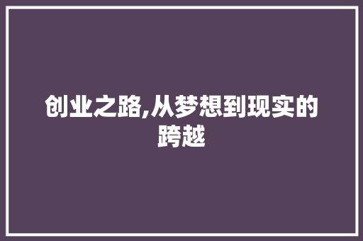 创业之路,从梦想到现实的跨越 社交媒体