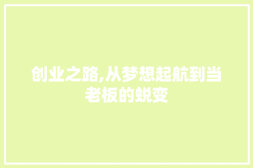 创业之路,从梦想起航到当老板的蜕变