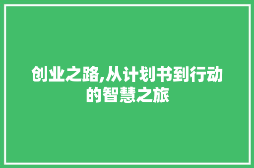 创业之路,从计划书到行动的智慧之旅 诗词鉴赏