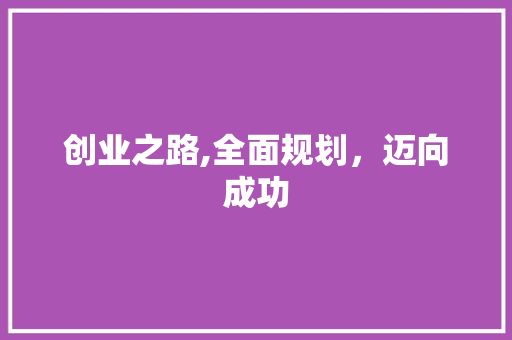 创业之路,全面规划，迈向成功