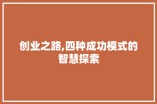 创业之路,四种成功模式的智慧探索