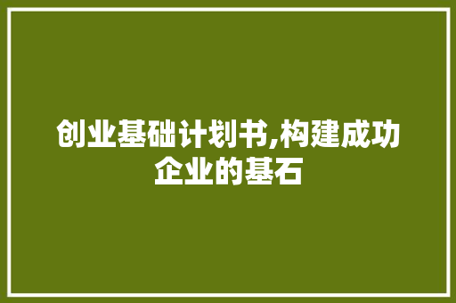 创业基础计划书,构建成功企业的基石