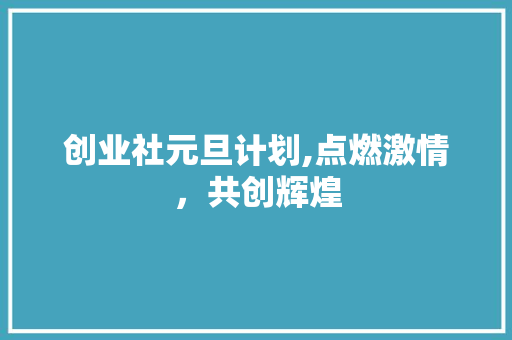 创业社元旦计划,点燃激情，共创辉煌 项目报告