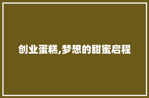 创业蛋糕,梦想的甜蜜启程