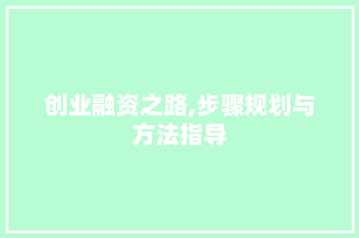 创业融资之路,步骤规划与方法指导 工作总结