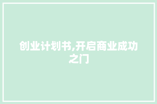 创业计划书,开启商业成功之门