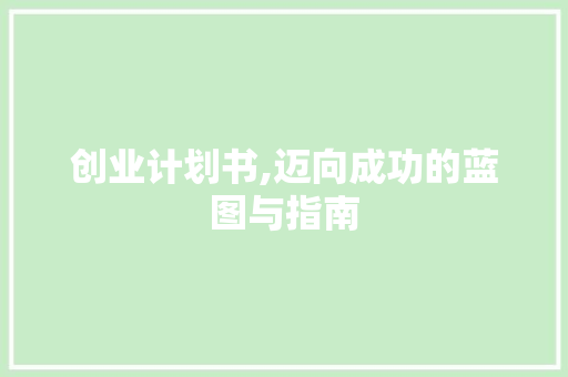 创业计划书,迈向成功的蓝图与指南