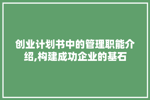 创业计划书中的管理职能介绍,构建成功企业的基石