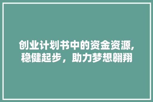 创业计划书中的资金资源,稳健起步，助力梦想翱翔