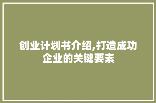 创业计划书介绍,打造成功企业的关键要素