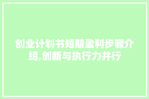 创业计划书短期盈利步骤介绍,创新与执行力并行