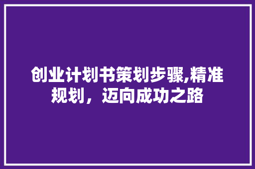 创业计划书策划步骤,精准规划，迈向成功之路