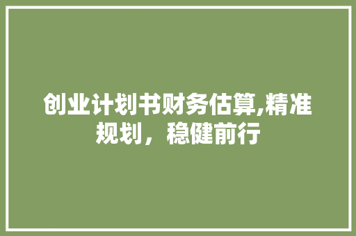 创业计划书财务估算,精准规划，稳健前行