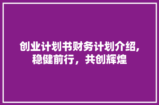创业计划书财务计划介绍,稳健前行，共创辉煌
