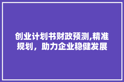创业计划书财政预测,精准规划，助力企业稳健发展