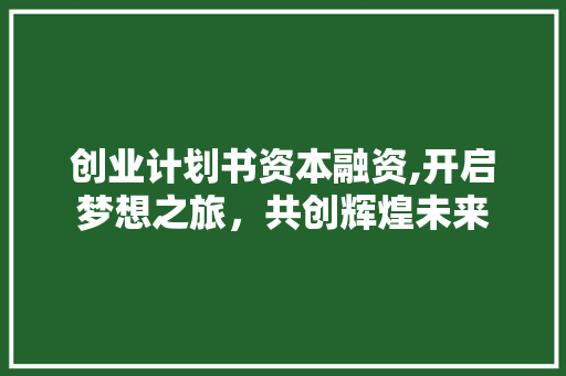 创业计划书资本融资,开启梦想之旅，共创辉煌未来