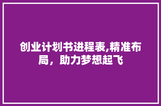 创业计划书进程表,精准布局，助力梦想起飞