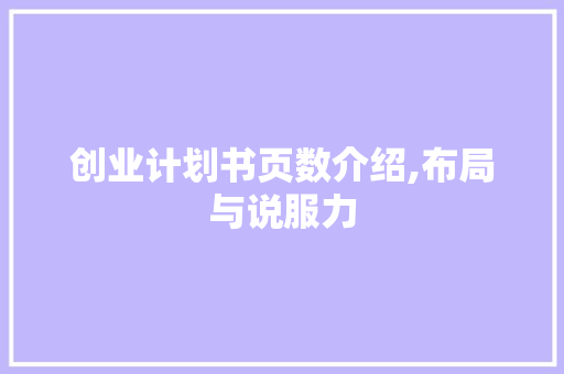 创业计划书页数介绍,布局与说服力