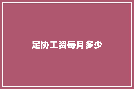 足协工资每月多少
