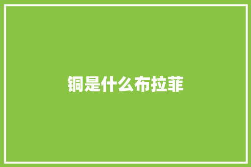 铜是什么布拉菲 诗词体裁