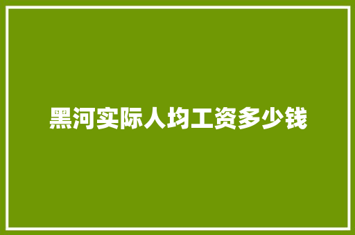 黑河实际人均工资多少钱