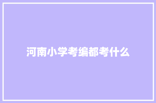 河南小学考编都考什么