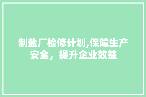 制盐厂检修计划,保障生产安全，提升企业效益