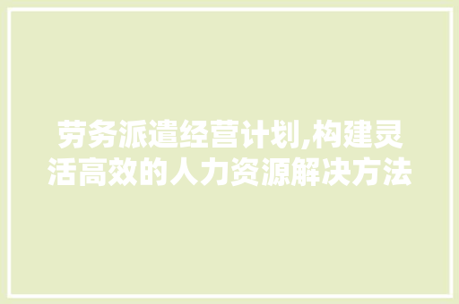 劳务派遣经营计划,构建灵活高效的人力资源解决方法
