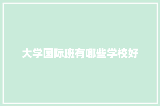 大学国际班有哪些学校好