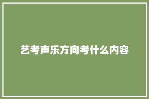 艺考声乐方向考什么内容 项目报告
