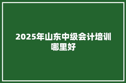 2025年山东中级会计培训哪里好