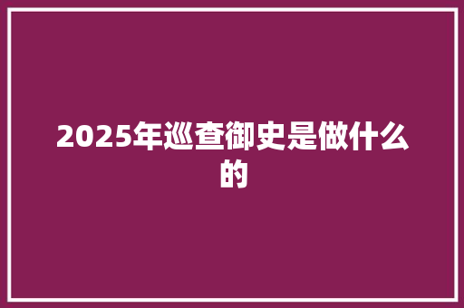 2025年巡查御史是做什么的 应用文