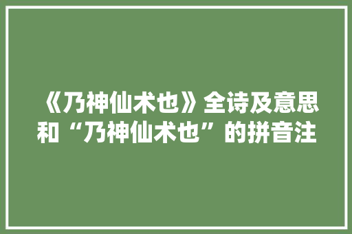 《乃神仙术也》全诗及意思和“乃神仙术也”的拼音注释