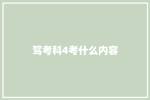 驾考科4考什么内容