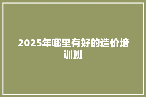 2025年哪里有好的造价培训班 项目报告