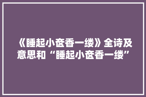 《睡起小奁香一缕》全诗及意思和“睡起小奁香一缕”的拼音注释
