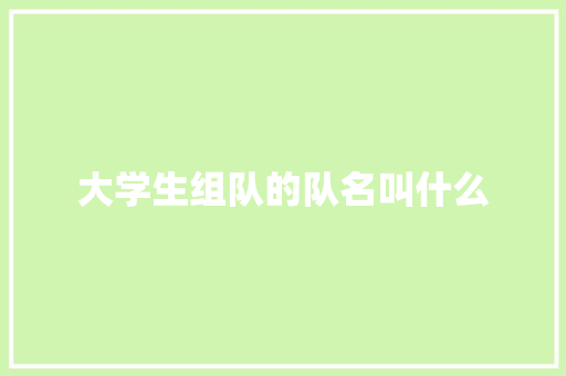 大学生组队的队名叫什么