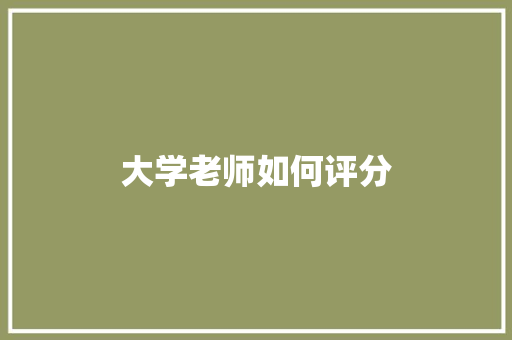 大学老师如何评分