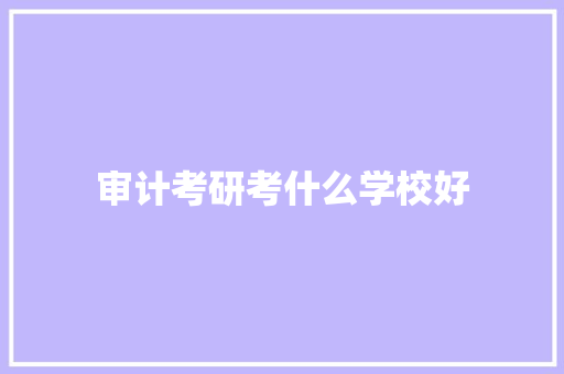 审计考研考什么学校好