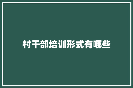村干部培训形式有哪些