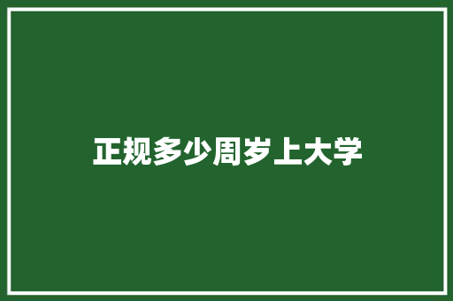 正规多少周岁上大学 工作总结